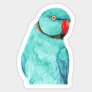 Blue Rose-ringed parakeet or ring-necked parrots watercolor - bird painting Sticker